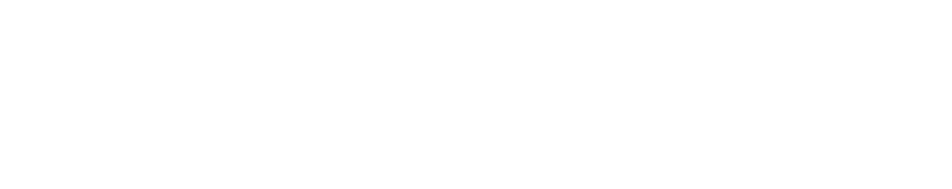 Thunder Bay Transit